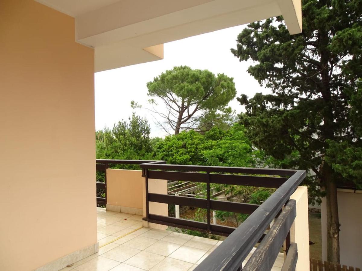 Zana Apartments Stan Trigraci Екстериор снимка